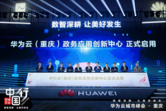除了政务使用立异核心